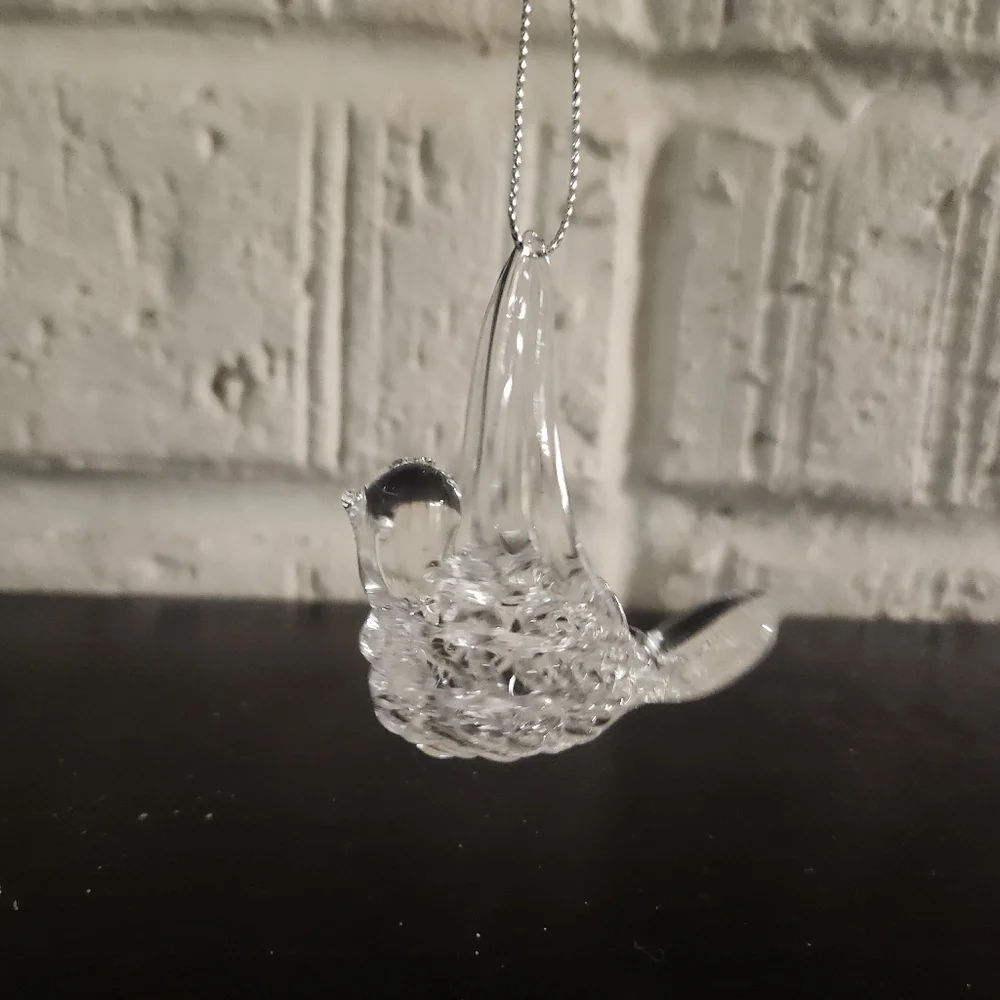 N/A handblown baby